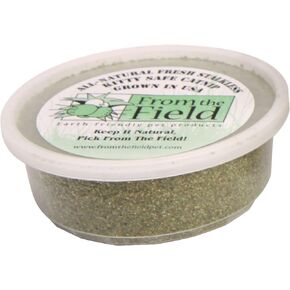 From The Field 2-Ounce Catnip Kitty Safe Stalkless Tub