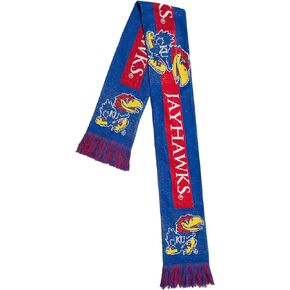 FOCO NCAA unisex Ncaa College Big Logo Scarf