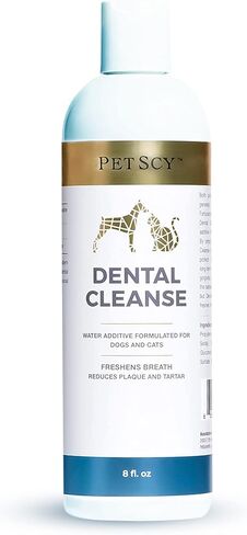 Petscy - Dental Cleanse, All-Natural Cat & Dog Tartar Remover for Teeth, Cat & Dog Water Additive for Dental Care, Suitable for All Ages, Breeds & Sizes, 8 Oz in Kuwait