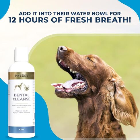 Petscy - Dental Cleanse, All-Natural Cat & Dog Tartar Remover for Teeth, Cat & Dog Water Additive for Dental Care, Suitable for All Ages, Breeds & Sizes, 8 Oz in Kuwait