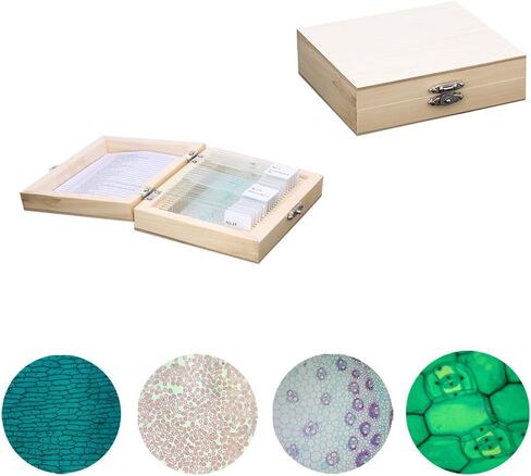 مجموعة عينات مختبر شرائح المجهر الزجاجية المُجهزة لتعليم علوم الأحياء 25 قطعة شرائح مُجهزة مع علبة خشبية مُجهزة in Kuwait