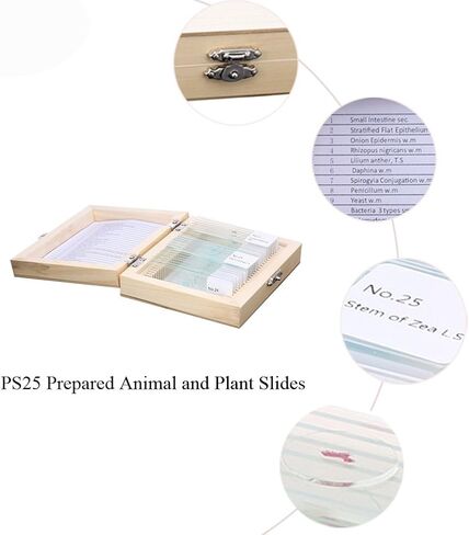 مجموعة عينات مختبر شرائح المجهر الزجاجية المُجهزة لتعليم علوم الأحياء 25 قطعة شرائح مُجهزة مع علبة خشبية مُجهزة in Kuwait
