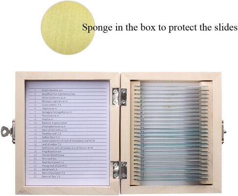 مجموعة عينات مختبر شرائح المجهر الزجاجية المُجهزة لتعليم علوم الأحياء 25 قطعة شرائح مُجهزة مع علبة خشبية مُجهزة in Kuwait