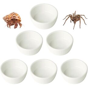 6 قطع من وعاء الماء المصنوع من السيراميك العنكبوتي الصغير، طبق صغير للحيوانات الأليفة لعنكبوت الرتيلاء والعقرب الألفية وسرطان البحر الناسك الزواحف الصغيرة (1.5 أونصة) in Kuwait