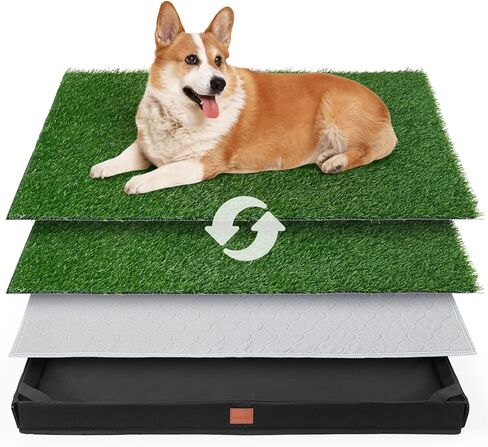 LOOBANI Dog Grass Pad with Tray, Lightweight Oxford Cloth Tray for Potty Training, 19 * 24 in in Kuwait