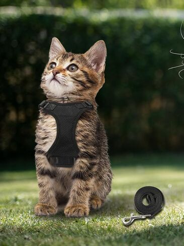 Cat Collar with Nylon Long Rope, Breathable, Lightweight and Anti-Escape Design S in Saudi Arabia