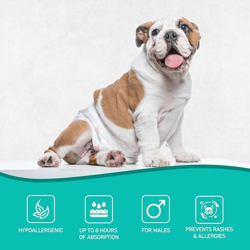العناية بالكلاب - حفاضات صحية يمكن التخلص منها للكلاب الأنثوية - فائقة الامتصاص ومريحة - مقاس S - 6,6 رطل إلى 13,2 رطل - 48 وحدة in Saudi Arabia