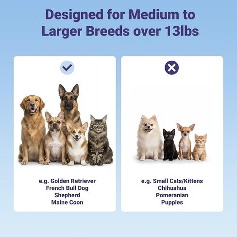 Dog Toothbrush for Medium and Large Dogs, 2pcs, Ultra Soft Bristle, Long-Lasting No Slip Handle, Pet Tooth Brush and Dental Cleaning Brush, Super Thin Bristle Gentle on Gum for Sensitive Pets, Blue in Kuwait