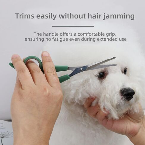 2-Pack Green Pet Grooming Scissors, Stainless Steel Blades, Safe for Dogs/Cats, Comfortable Grip for Home Use in Saudi Arabia