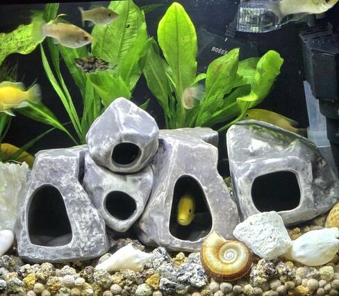 Aquarium Rock Caves- Cichlid Stone 3 Assorted Hollow Ceramic Caves in Saudi Arabia