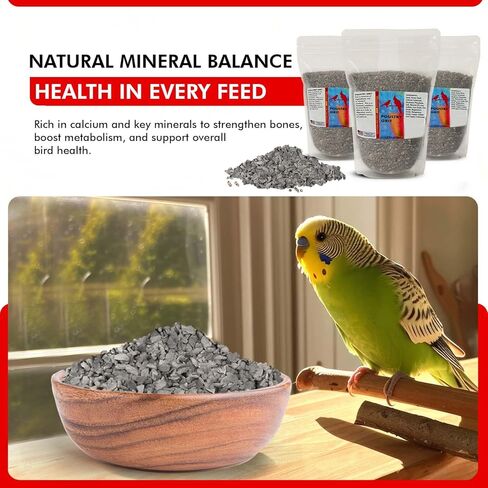 حصى الدواجن لطيور الصباح للطيور 1.5 رطل - مكمل غني بالمعادن لدعم الهضم والكالسيوم - إضافات أعلاف الدواجن الطبيعية وحصى الدجاج للطيور الصحية in Kuwait