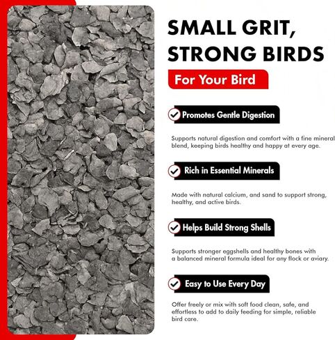 حصى الدواجن لطيور الصباح للطيور 1.5 رطل - مكمل غني بالمعادن لدعم الهضم والكالسيوم - إضافات أعلاف الدواجن الطبيعية وحصى الدجاج للطيور الصحية in Kuwait