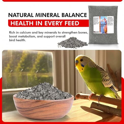 Morning Bird Poultry Grit for Birds 1.5 lbs - Mineral-Rich Supplement for Digestion & Calcium Support - Natural Poultry Feed Additive and Chicken Grit for Healthy Birds in Saudi Arabia