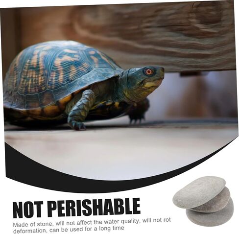 3pcs Turtle Basking Stones Flat Reptile Platform for Climbing and Resting Fish Tank Decoration Multi-Functional Turtle Tank Landscape Random Color Suitable for Small Random Color in Saudi Arabia