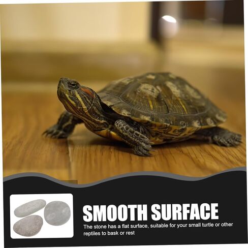 3pcs Turtle Basking Stones Flat Reptile Platform for Climbing and Resting Fish Tank Decoration Multi-Functional Turtle Tank Landscape Random Color Suitable for Small Random Color in Saudi Arabia