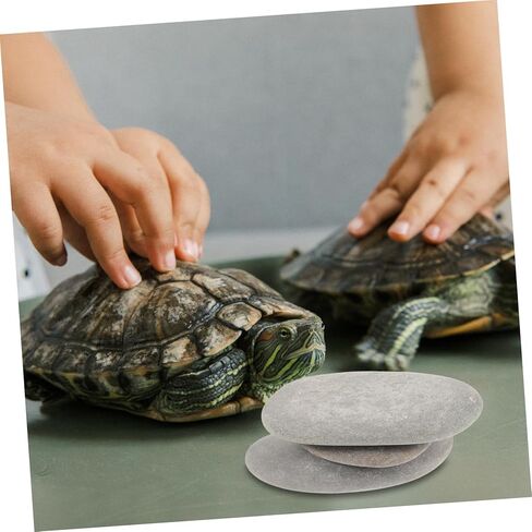 3pcs Turtle Basking Stones Flat Reptile Ramp Platform for Small Turtles and Bearded Dragons Natural Rock Tank Decoration for Freshwater and Saltwater Aquariums Random Color in Saudi Arabia