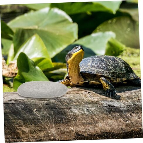 3pcs Turtle Basking Stones Flat Reptile Ramp Platform for Small Turtles and Bearded Dragons Natural Rock Tank Decoration for Freshwater and Saltwater Aquariums Random Color in Saudi Arabia