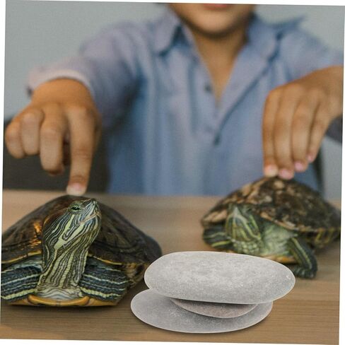 3pcs Turtle Basking Stones Flat Reptile Ramp Platform for Small Turtles and Bearded Dragons Natural Rock Tank Decoration for Freshwater and Saltwater Aquariums Random Color in Saudi Arabia
