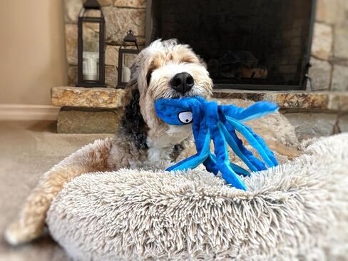 Octopus Dog Toy – Squeaky & Crinkle Plush – No Stuffing Toy for Small, Medium & Large Dogs – Interactive Pet-Safe Soft Toy for Tug, Fetch & Play – Blue– Tail Town in Saudi Arabia