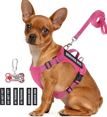 Service Dog Vest for Small Breed Dogs with ID Tag – Lightweight Puppy Harness and Leash Set with 6 PCS Patches, Ideal Service Animal Vest for Training, Complete Service Dog Gear, Red, S in Saudi Arabia