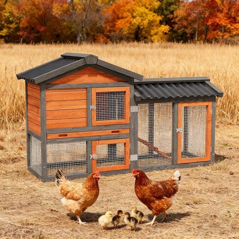حظيرة الدجاج، تشغيل الدجاج، حظيرة البط الخشبية الصغيرة في الهواء الطلق، بيت الدجاجة بطبقتين، يستخدم في جميع الأحوال الجوية، قفص سمان الدواجن، بيت قفص أرنب للحيوانات الأليفة مع منحدر للحيوانات الصغيرة (أصفر أسود) in Kuwait