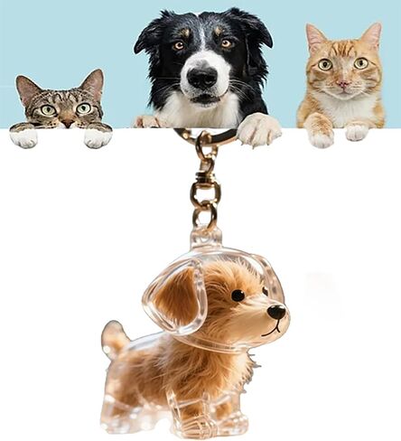 Collector Keychain Charm Storage Box, DIY Pet Keepsake Furs Collection Capsules, Holder Keyring Memorial for Pet Lovers in Saudi Arabia