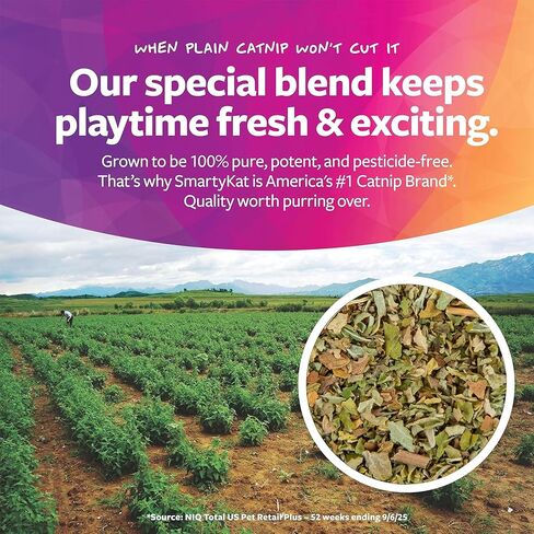 علبة النعناع البري الطبيعية SmartyKat، 100٪ قطط طبيعية للقطط، النعناع البري المجفف الفاخر للقطط الداخلية، مساعد تدريب إيجابي للعب والتمرين، زجاجة شاكر قابلة للإغلاق، 2 أونصة in Kuwait