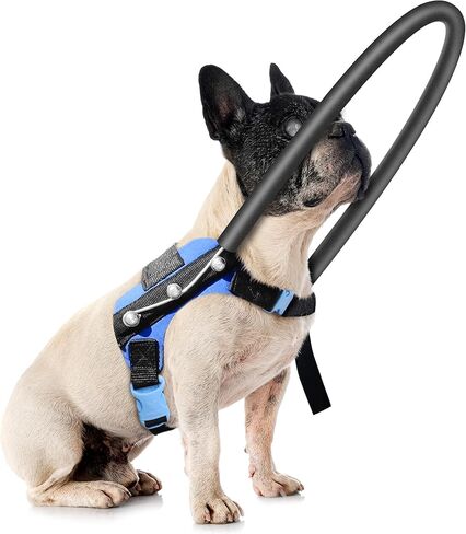Blind Dog Harness, Guiding Halo with Protective Vest - Adjustable Support Harness to Calm & Guide Blind Pets, Confidence Building Leash Attachment for Safe Walking and Training (S) in Kuwait