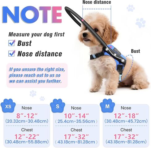 Blind Dog Harness, Guiding Halo with Protective Vest - Adjustable Support Harness to Calm & Guide Blind Pets, Confidence Building Leash Attachment for Safe Walking and Training (S) in Kuwait