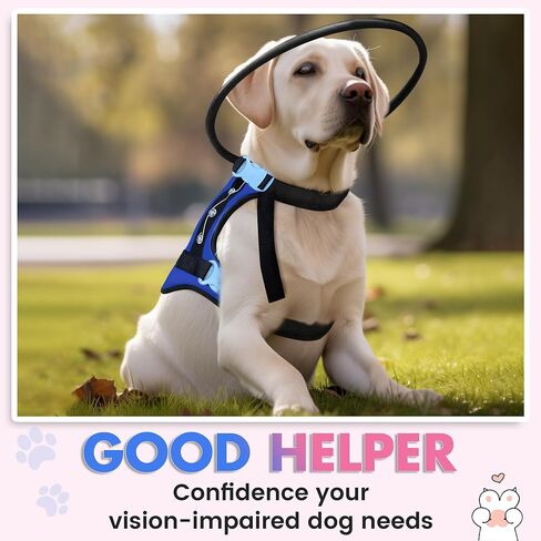 Blind Dog Harness, Guiding Halo with Protective Vest - Adjustable Support Harness to Calm & Guide Blind Pets, Confidence Building Leash Attachment for Safe Walking and Training (S) in Kuwait