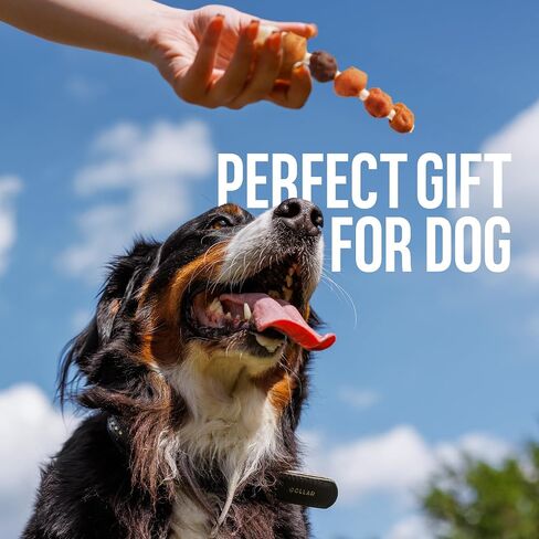 M-PETS Chicken Wrapped Dog Treats 30 pcs Rawhide Chews Sticks, Puppy Training Treat, Snacks for Small and Medium Dogs in Kuwait