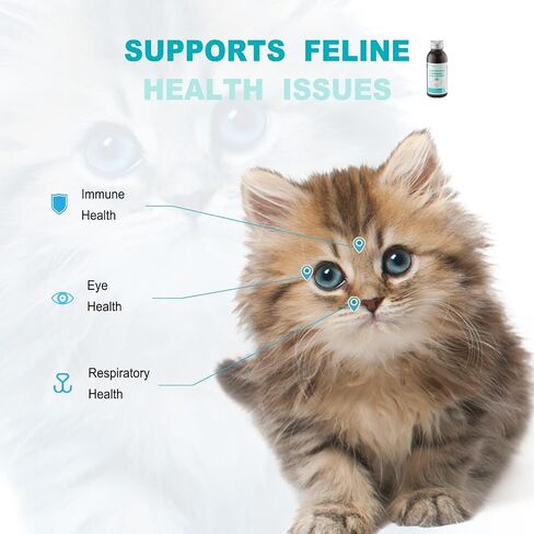 Urinary Health Supplement for Cats and Dogs – Cranberry, Herbal Extracts & Vitamins – Supports Urinary Tract, Reduces Infections & Stones – All Life Stages, 3.38oz in Saudi Arabia