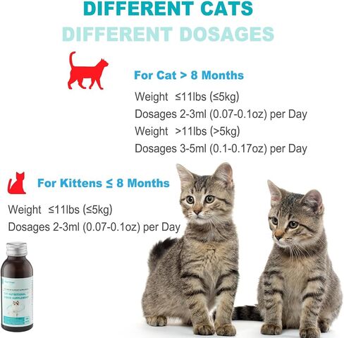 Urinary Health Supplement for Cats and Dogs – Cranberry, Herbal Extracts & Vitamins – Supports Urinary Tract, Reduces Infections & Stones – All Life Stages, 3.38oz in Saudi Arabia