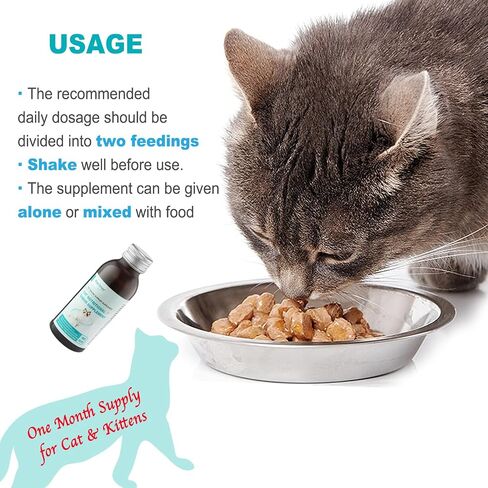 Urinary Health Supplement for Cats and Dogs – Cranberry, Herbal Extracts & Vitamins – Supports Urinary Tract, Reduces Infections & Stones – All Life Stages, 3.38oz in Saudi Arabia
