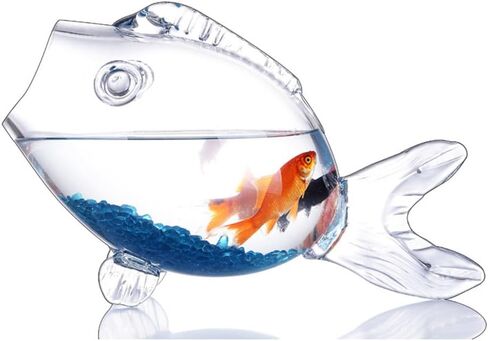 Fish Shaped fishbowls，Thickened high Transparency Glass，Turtle Goldfish Aquarium，for Office Lobby Bedroom Decoration (S) in Saudi Arabia