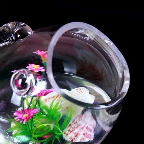 Fish Shaped fishbowls，Thickened high Transparency Glass，Turtle Goldfish Aquarium，for Office Lobby Bedroom Decoration (S) in Saudi Arabia