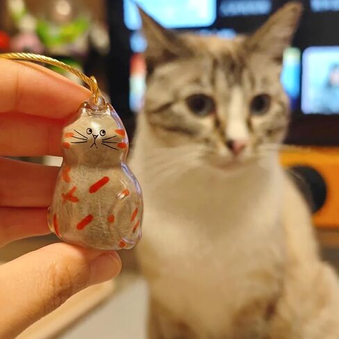 5pcs Cat Fur Storage Bottle Cat Hair Keychain Cats Hair Holder Keychain Bottle Pendants Capsule Toys Pet Hairs Container with Tweezers/Comb(Color:A) in Saudi Arabia