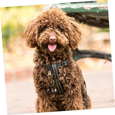 Brass Pet Collar Bell Pendant with Spring Snap Hook Rustic Dog and Cat Collar Charm Safety Signaling Accessory for Training and Tracking in Saudi Arabia