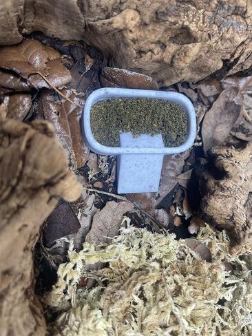 طبق تغذية Isopod 3 عبوات – مقاسات صغيرة ومتوسطة وكبيرة | مجموعة أوعية تغذية الحشرات للأيزوبودات، وذوات الذيل الربيعي، والصراصير الدوبيا، والزواحف، ومرابي الحيوانات النشطة بيولوجيًا in Saudi Arabia