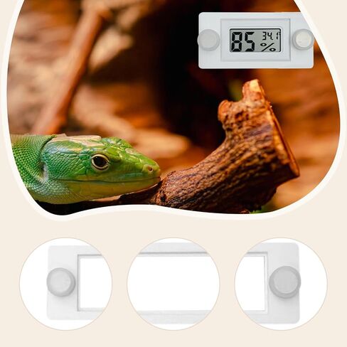 Reptile Tanks Thermometer Holder 7.8x0.5cm Compact for Habitat Management Lightweight Gauge Holder Hygrometer Mount, Black in Saudi Arabia