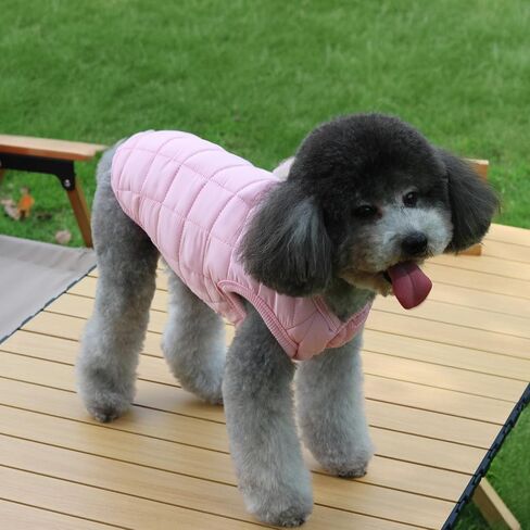 2 Pack Dog Winter Coat for Small Dogs Warm Windproof Puppy Jacket with Leash Ring XS–XXL Cold Weather Pet Outfit for Outdoor Walks (Blue + Red, Small) in Saudi Arabia