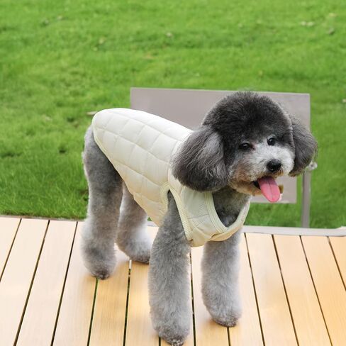 2 Pack Dog Winter Coat for Small Dogs Warm Windproof Puppy Jacket with Leash Ring XS–XXL Cold Weather Pet Outfit for Outdoor Walks (Blue + Red, Small) in Saudi Arabia