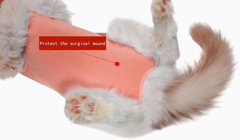 Cat Recovery Suit Female Kitten Onesie for Cats After Surgery Female Spay Surgical Abdominal Wound Skin Diseases Cone Collar Soft Alternative Wear (Orange, S) in Saudi Arabia