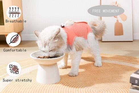 Cat Recovery Suit Female Kitten Onesie for Cats After Surgery Female Spay Surgical Abdominal Wound Skin Diseases Cone Collar Soft Alternative Wear (Orange, S) in Saudi Arabia