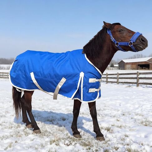بطانية حصان مصغر للحصان، بطانية شتوية 1680D لسلالات المهر/مهر صغير/حصان صغير/حصان صغير/مهر، وزن متوسط ​​مع بطانة حشو بوليستر 280 جرام (55 بوصة، أزرق) in Kuwait