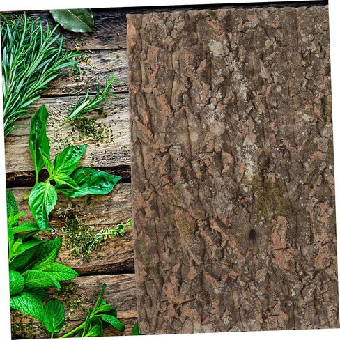Totority Natural Cork Bark Reptile Decor Climbing Platform Rough Texture Background for Gecko Lizard Snake Habitat Terrarium Accessories in Saudi Arabia