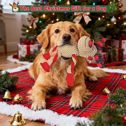 IOKHEIRA Christmas Dog Toys - Squeaky Dog for Small, Medium, and Large Dogs, Holiday Dog Toys with Organic Cotton, 5 Squeakers & Crinkle Papers, Soft Plush for Tug of War in Saudi Arabia