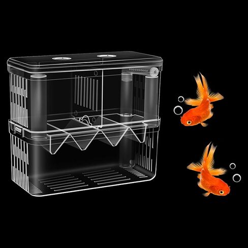 Double Room Breeding Box for Fish Tank, Fish Tank Aquarium Betta Guppy, PC Transparent Large Aquarium Kit More Convenient for You to Watch Ornamental Fish and Shrimps(Large) in Kuwait