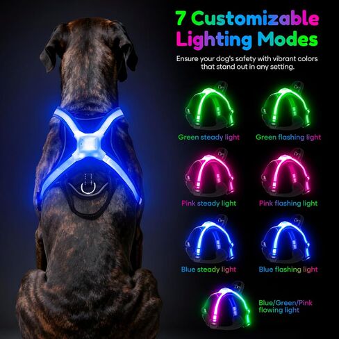 Light Up Dog Harness, Multicolor LED Reflective Vest, Glow in The Dark Safety Dog Harness, USB-C Rechargeable with Battery Indicator, Adjustable No-Pull Lighted Harness for Night Walking (Large) in Saudi Arabia