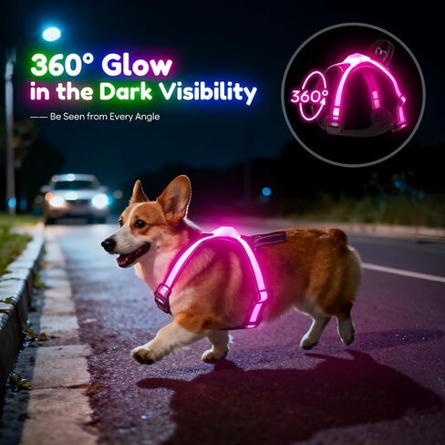 Light Up Dog Harness, Multicolor LED Reflective Vest, Glow in The Dark Safety Dog Harness, USB-C Rechargeable with Battery Indicator, Adjustable No-Pull Lighted Harness for Night Walking (Large) in Saudi Arabia